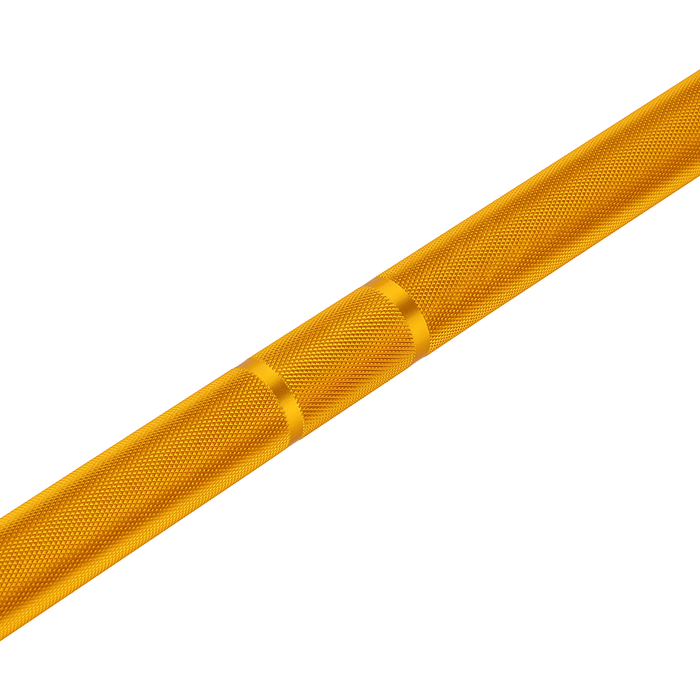 Barre de technique gold 1,8m*50mm 2 roulements 22Kg